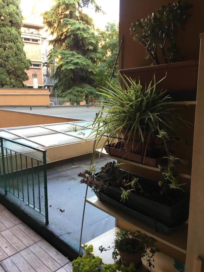 Little Secret Apartment By Wonderful Italy Bolonia Zewnętrze zdjęcie